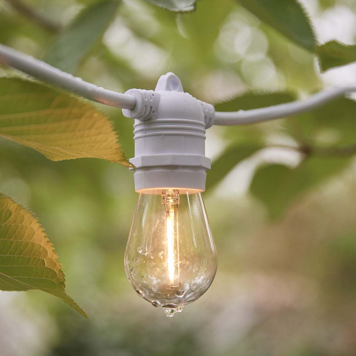 Wassertröpfchen an LED-Glühbirne der wetterfesten Lichterkette im Außenbereich