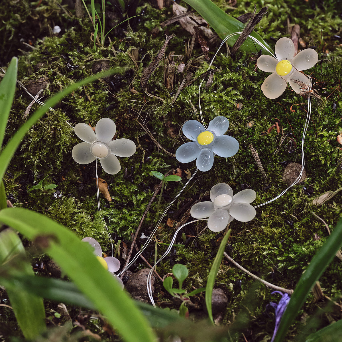 LED-Gänseblümchen-Lichterkette mit weißen und blauen Blumen leuchtet auf Moos im Garten