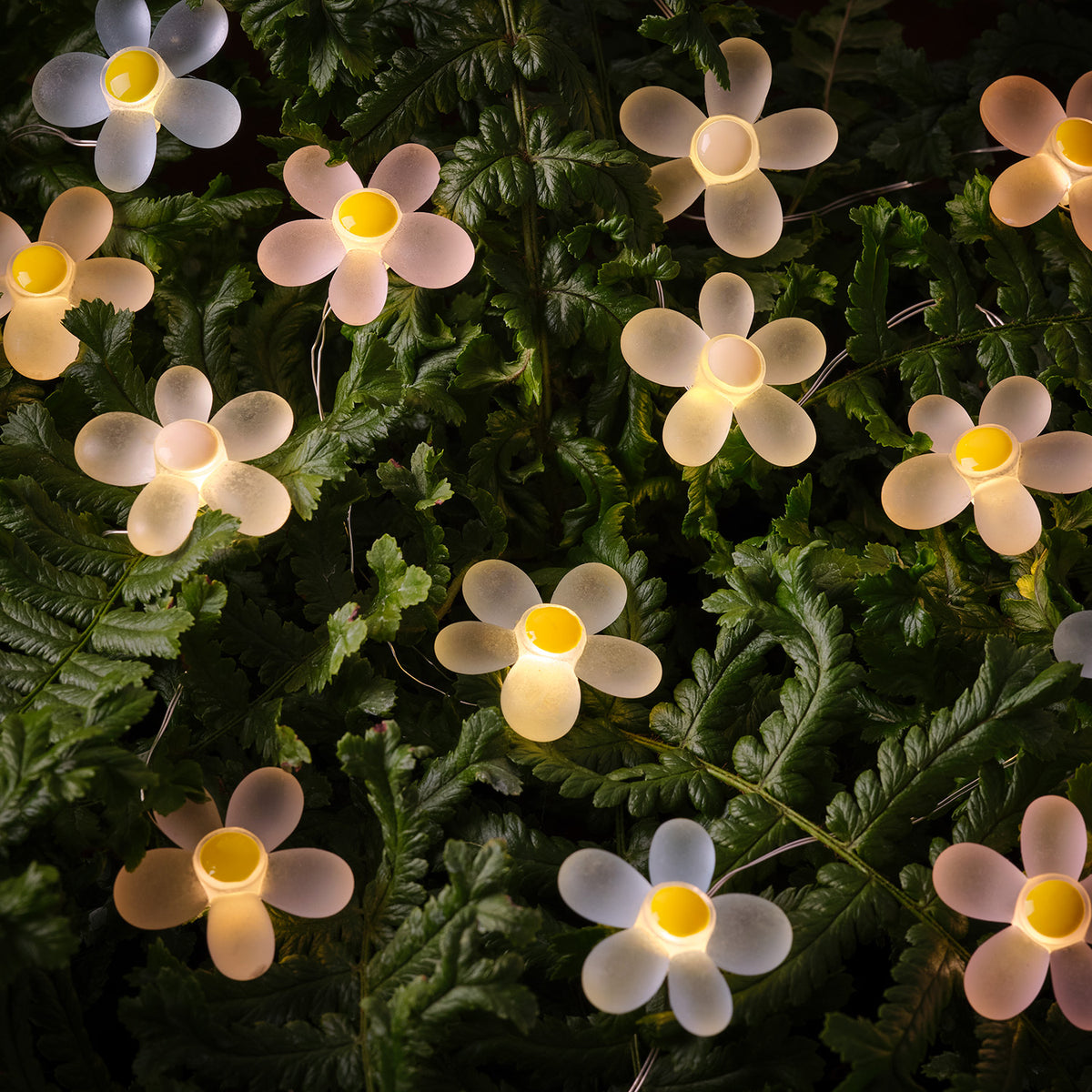 LED-Gänseblümchen-Lichterkette dekoriert grüne Blätter im Garten bei Nacht
