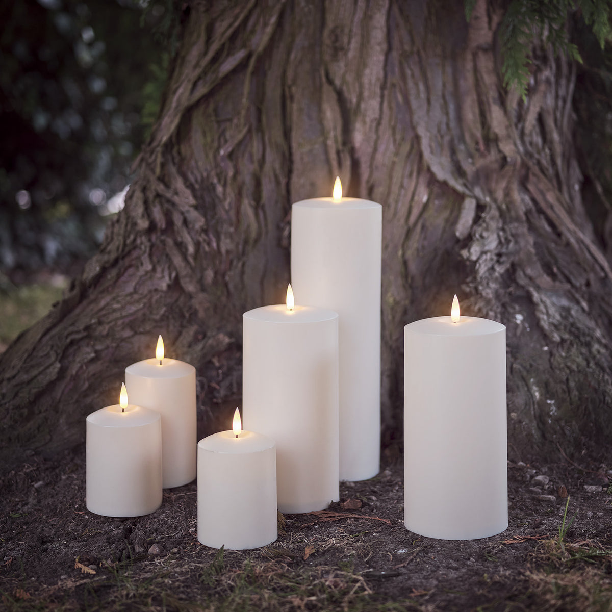 Sechs LED-Kerzen unterschiedlicher Größe vor Baumstamm im Garten