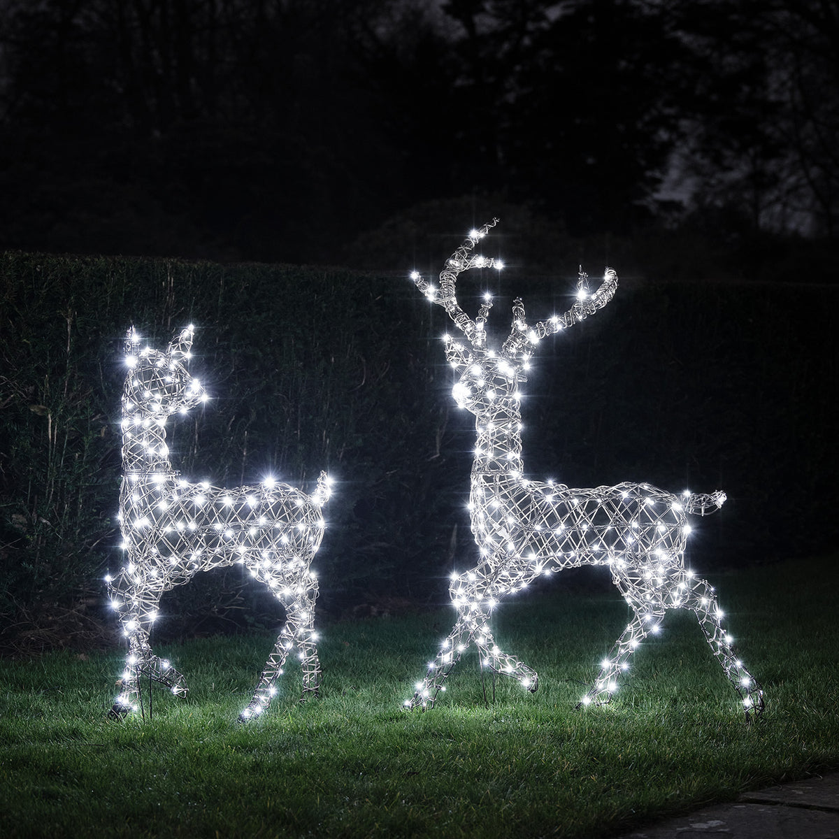 Solar-LED-Rentier Hirsch und Hirschkuh mit kaltweißem Licht im Garten bei Nacht