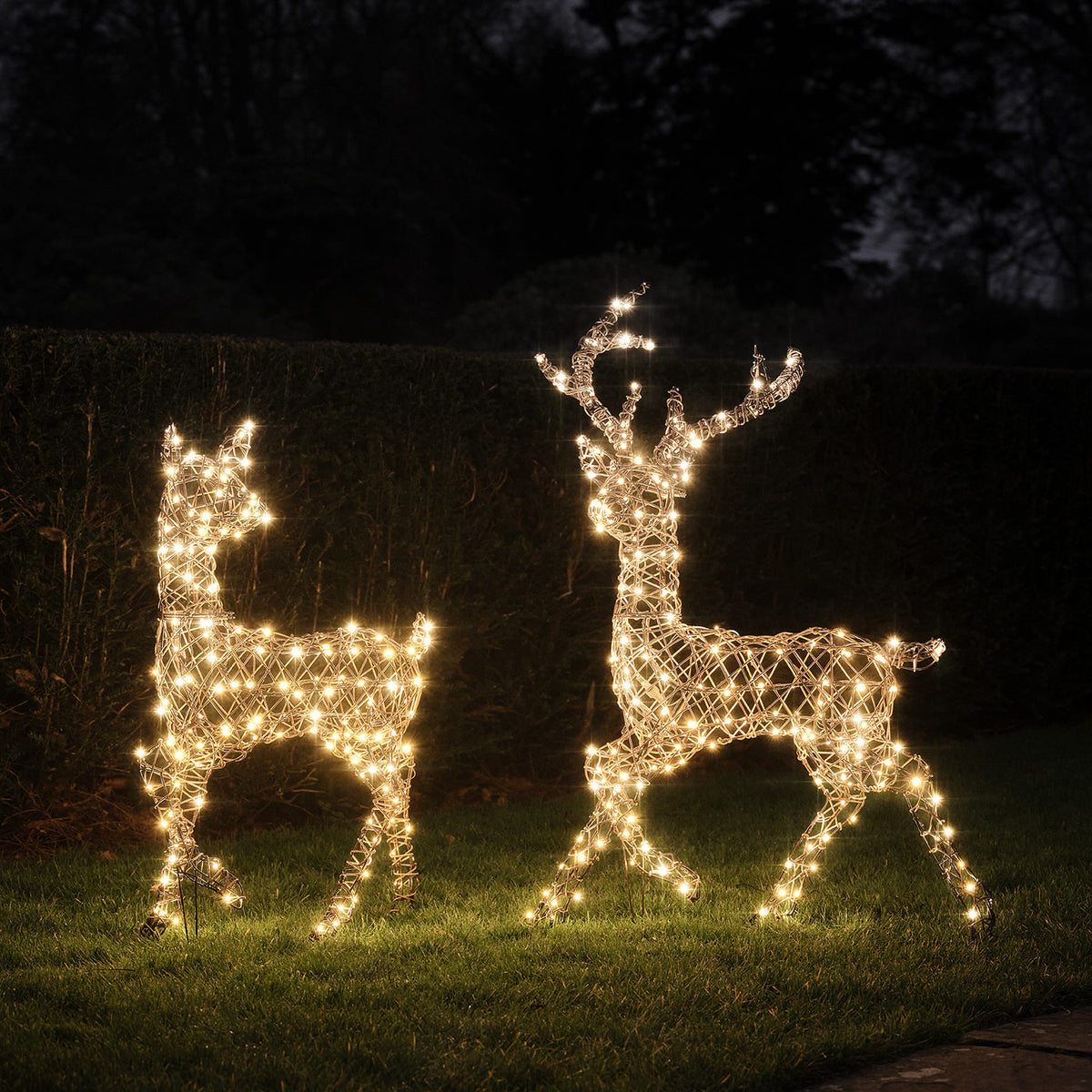 Solar-LED-Rentier Hirsch und Hirschkuh mit warmweißem Licht im Garten bei Nacht