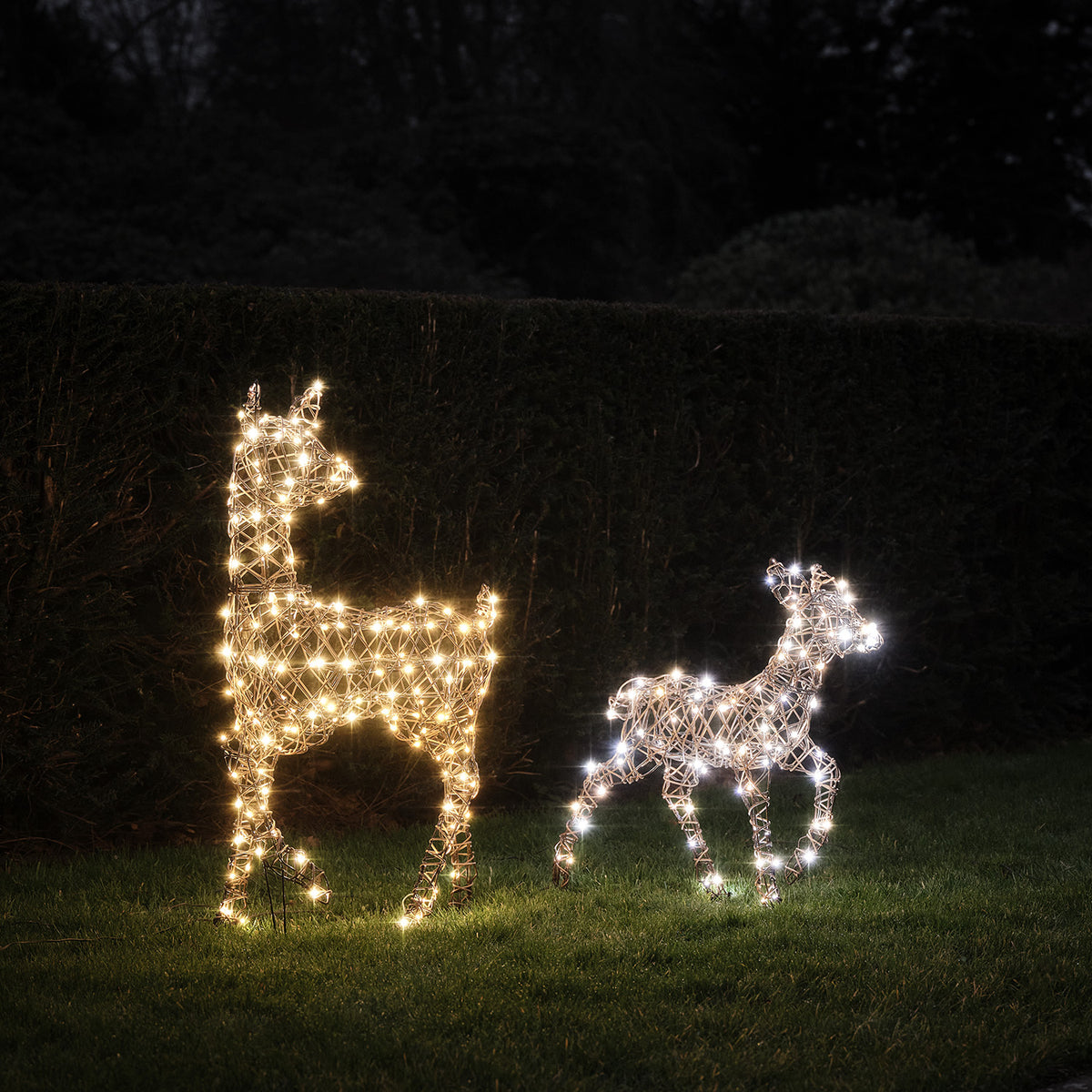 LED-Rentier Hirschkuh mit warmweißen und Rehkitz mit kaltweißen LEDs im Garten bei Nacht