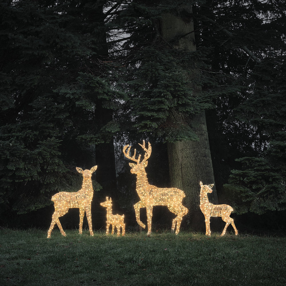 LED-Rentiere in Bicolor-Warmweiß leuchten auf einer Wiese vor Tannenbäumen