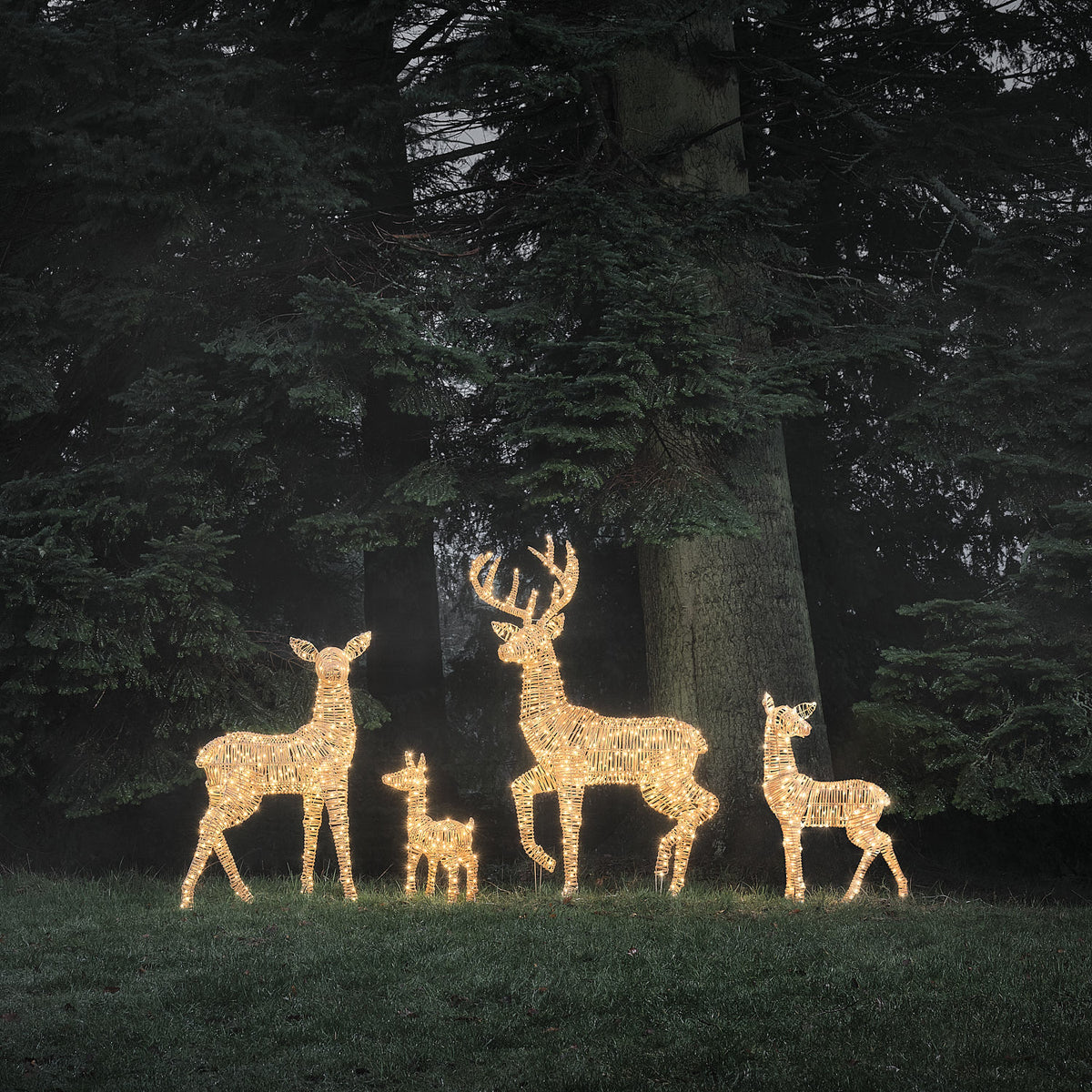 LED-Rentiere in Bicolor-Warmweiß leuchten auf einer Wiese vor Tannenbäumen