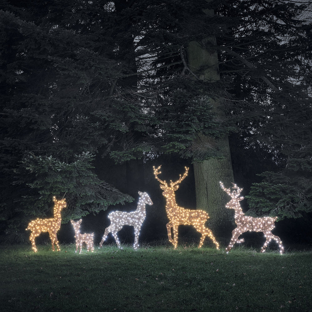 Fünf LED-Rentierfiguren in warmweiß und weiß leuchtend vor dunklem Wald bei Nacht