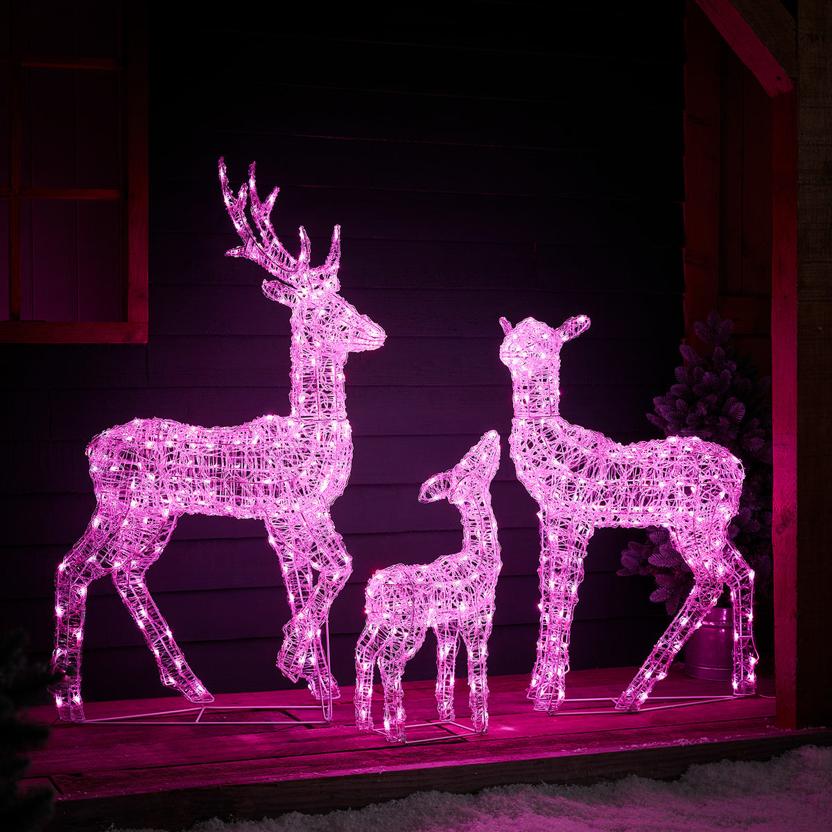 LED-Rentierfamilie mit pink leuchtenden Mikro-LEDs auf Holzterrasse vor dunkler Wand