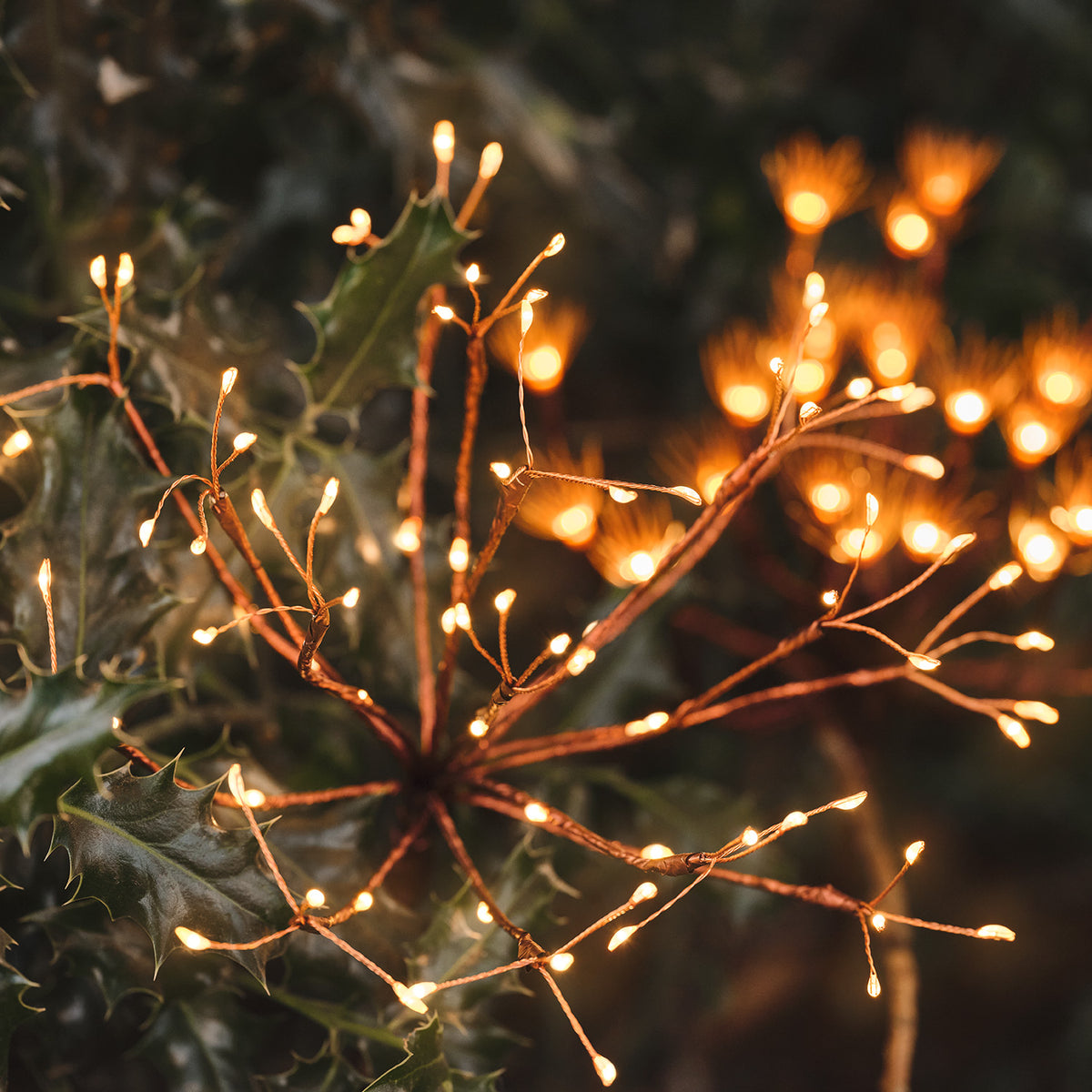 Solar Feuerwerk Gartenstecker mit warmweißen LEDs zwischen grünen Blättern im Garten