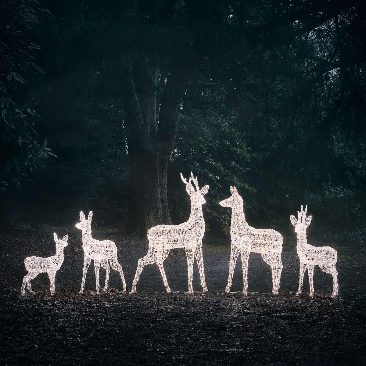 Fünf Bicolor LED-Rentiere mit warmweißem Licht vor dunklem Waldhintergrund