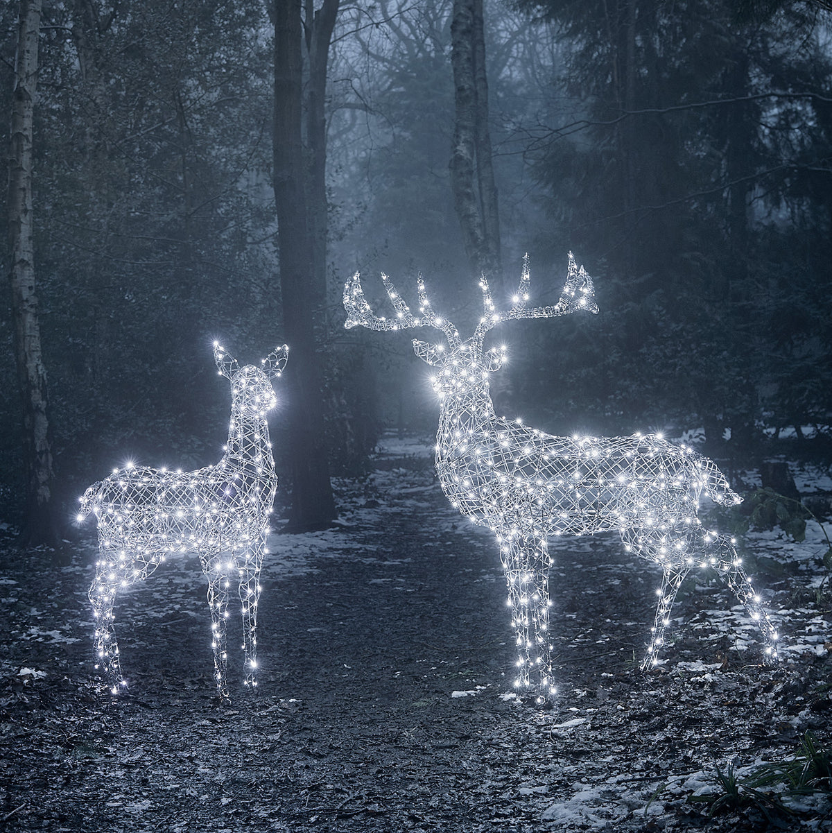 Zwei LED-Rentiere mit kaltweiß leuchtenden Lichtern vor einer Steinmauer im Garten bei Nacht