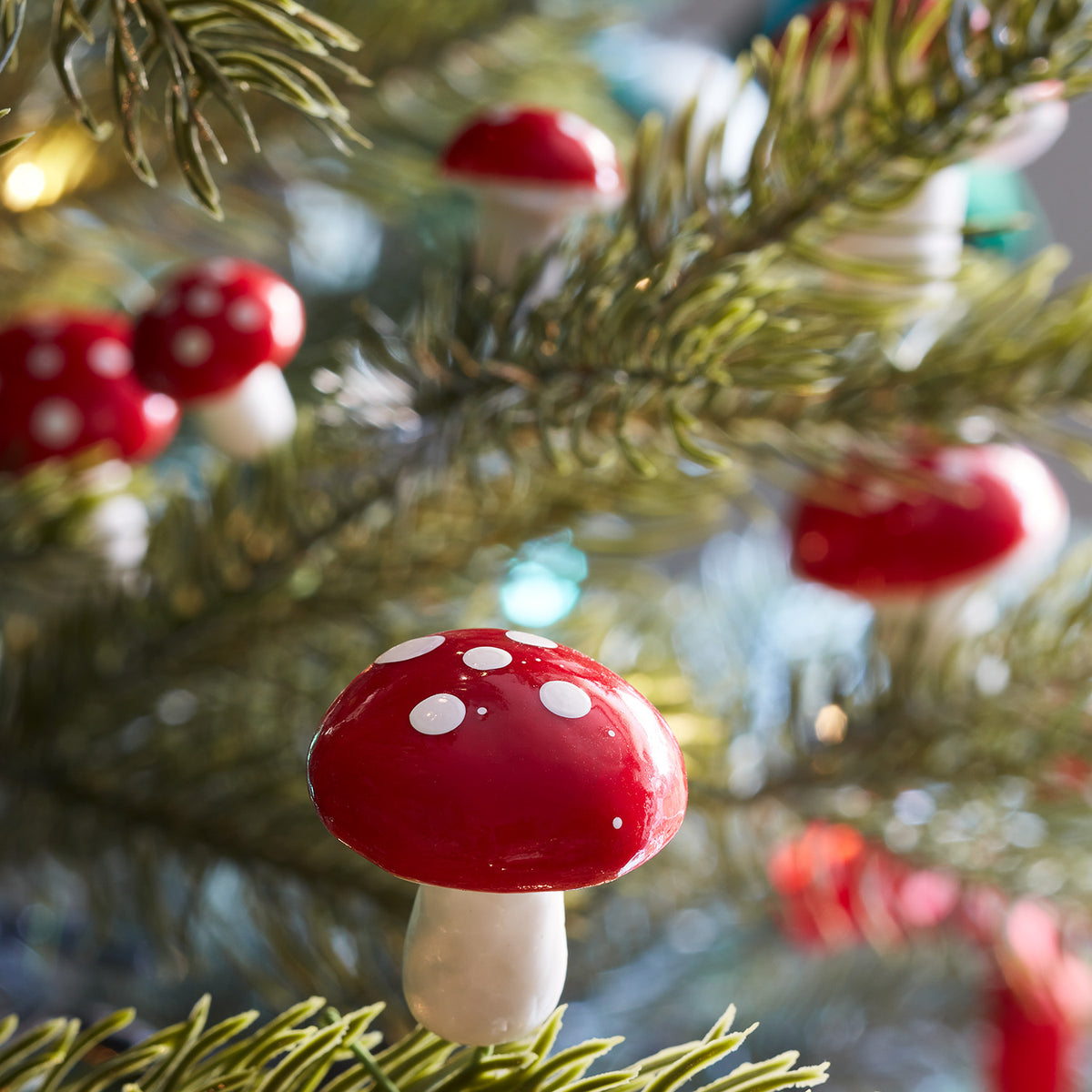 Mini Fliegenpilz mit rotem Hut und weißen Punkten als Weihnachtsbaumschmuck an Tannenzweig
