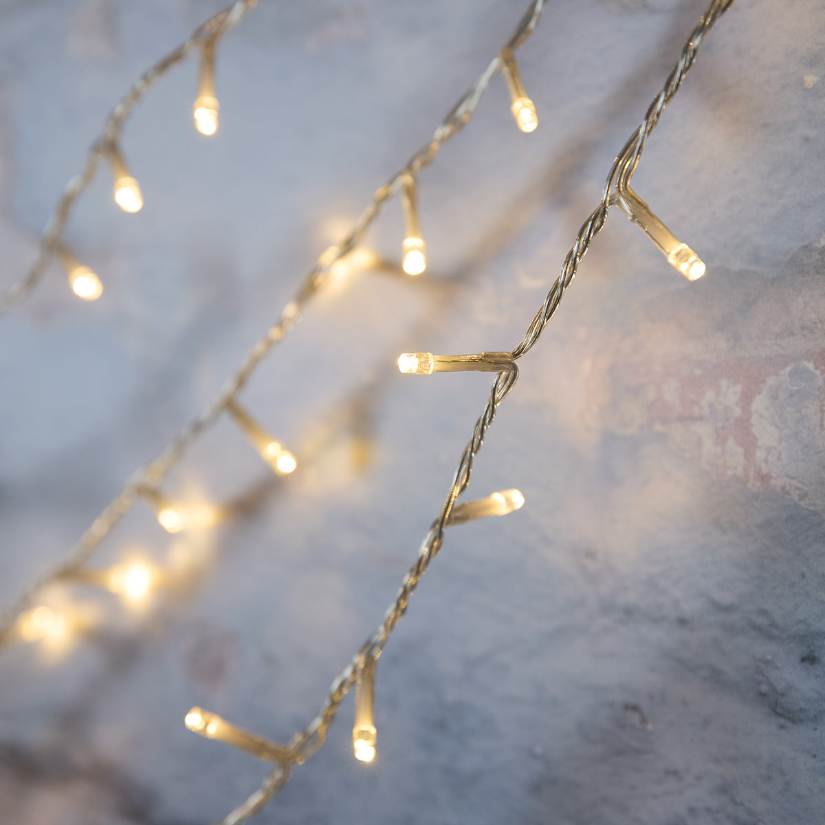 Nahaufnahme warmweiße LEDs an transparentem Kabel der Bicolor Lichterkette
