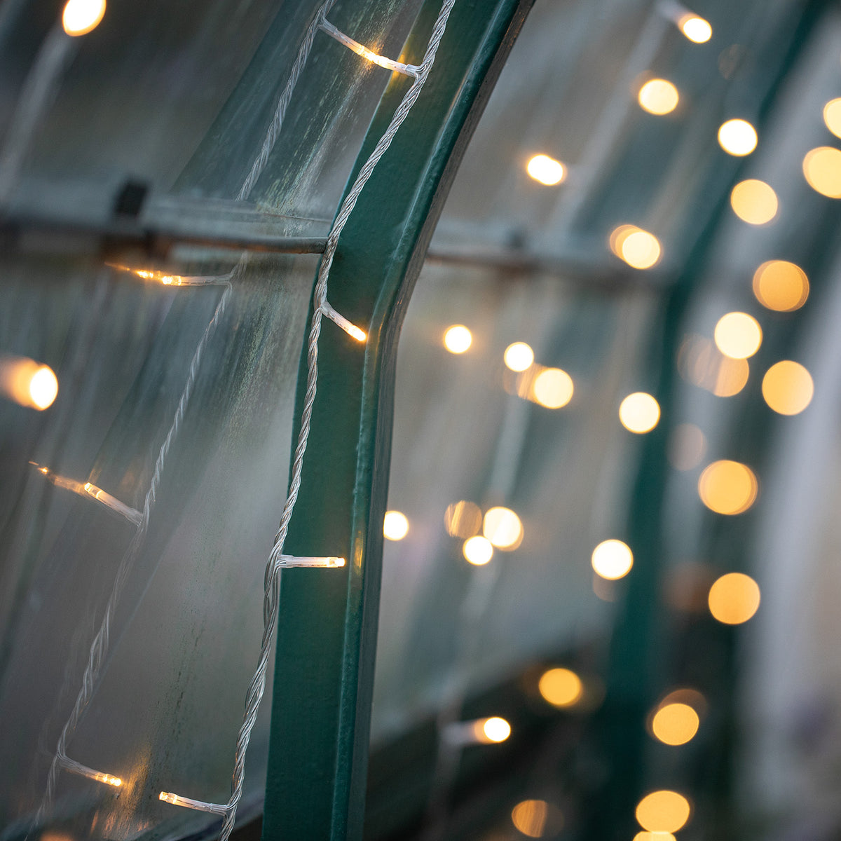 Nahaufnahme einer LED-Lichterkette mit warmweißen LEDs an einem grünen Metallrahmen