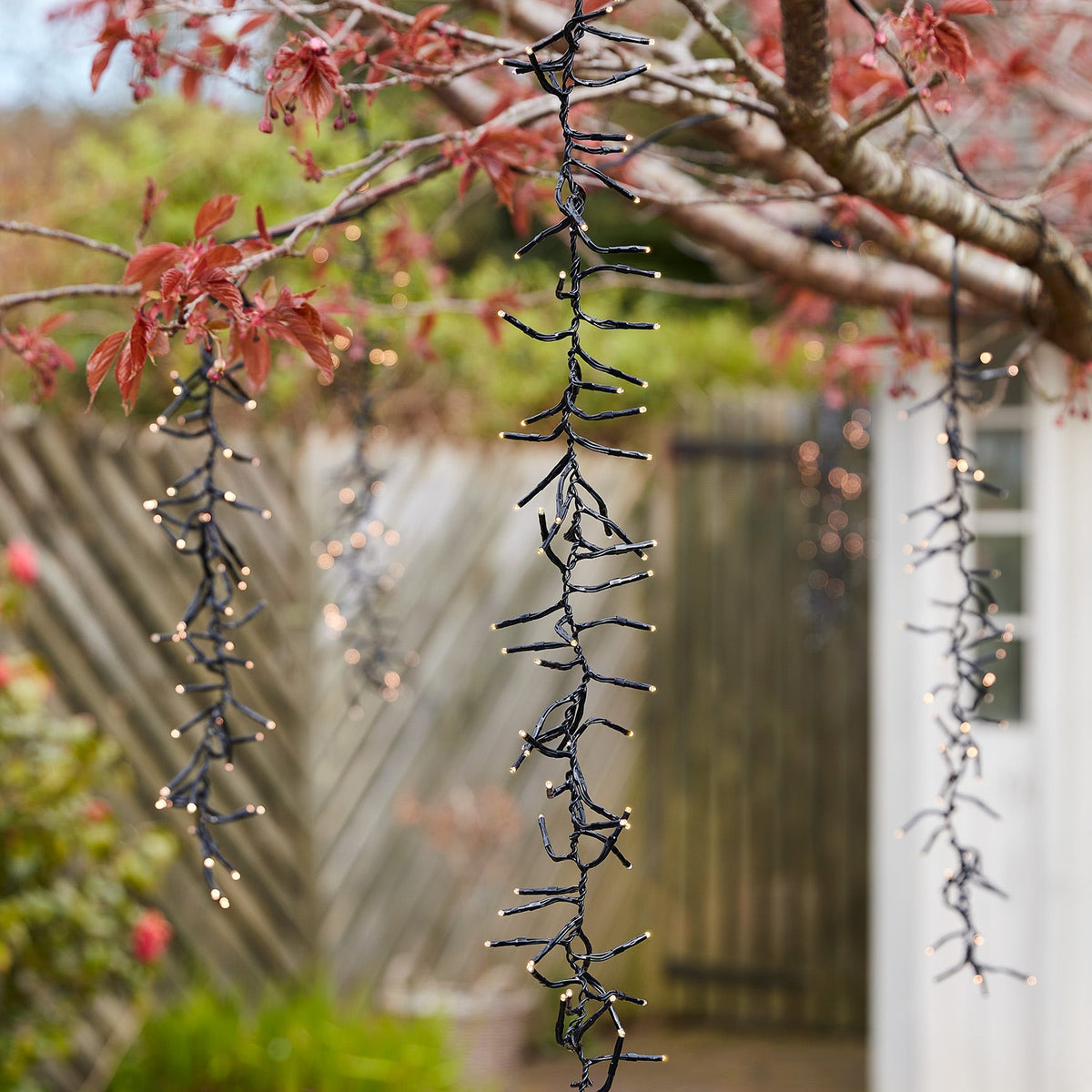 Unbeleuchtete LED-Kaskadenlichter hängen an Ästen eines Baumes im Garten bei Tageslicht