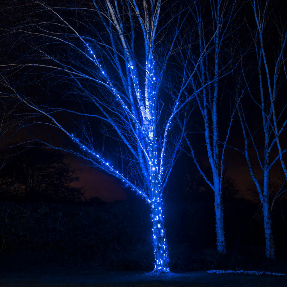 Baumstamm und Äste mit blau leuchtender LED-Lichterkette umwickelt bei Nacht