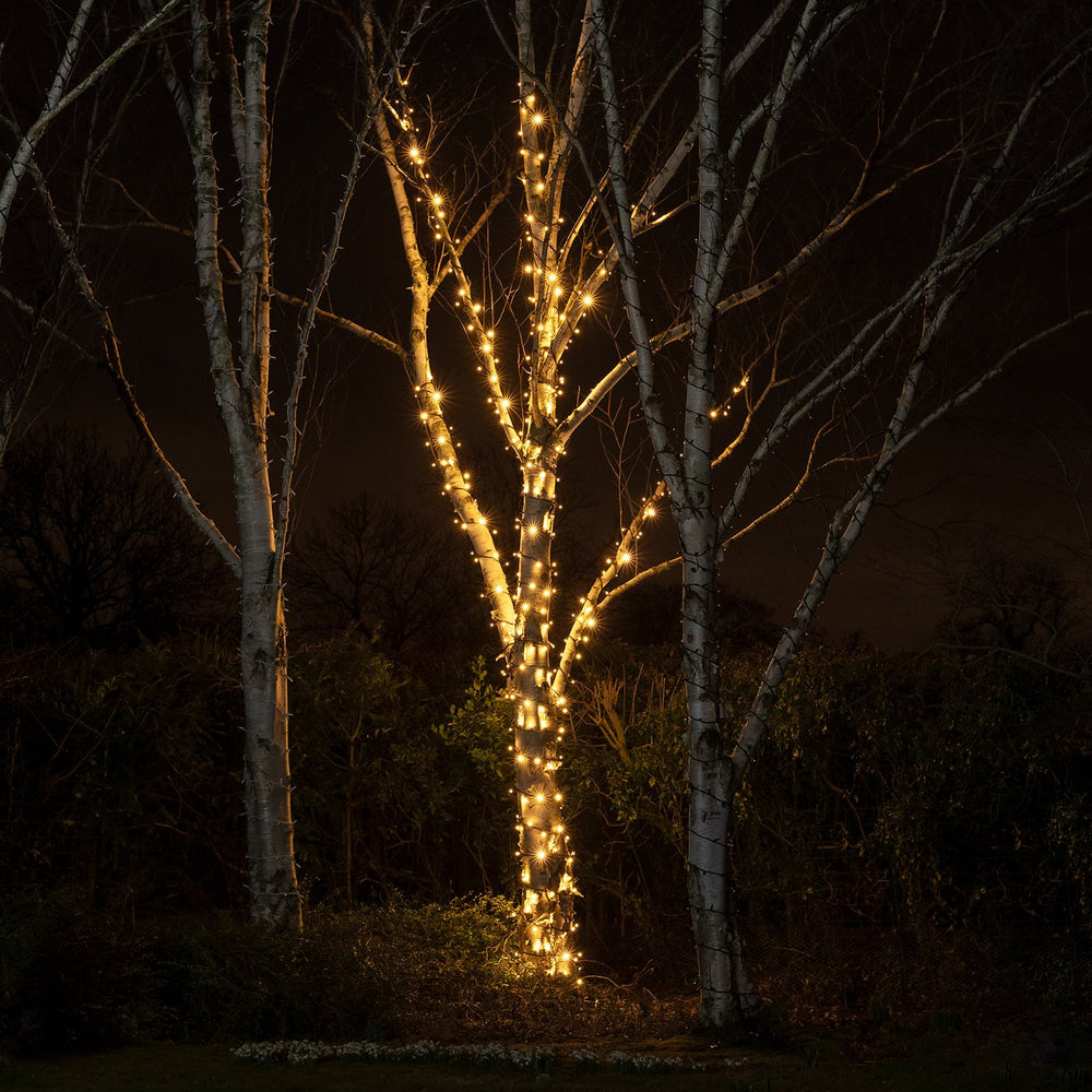 Birkenbaum mit warmweißen LED-Lichterketten umwickelt in dunkler Nacht im Garten