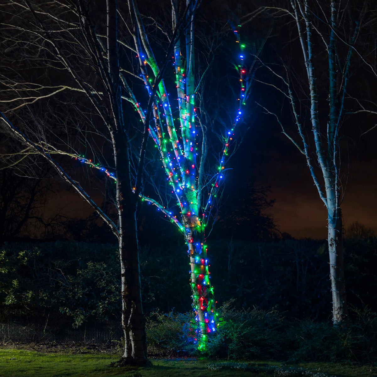 Bunte LED-Lichterkette um einen Baumstamm gewickelt bei Nacht