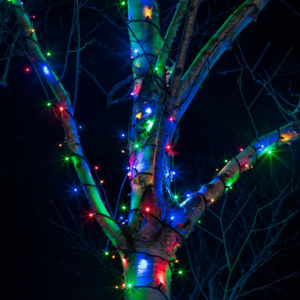 Bunter LED-Lichterkette um einen Baumstamm gewickelt bei Nacht