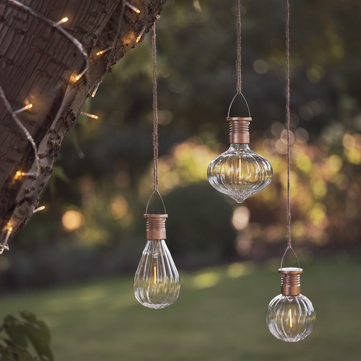 Drei solarbetriebene LED-Birnen in verschiedenen Formen hängen an Schnüren an einem Baum im Garten