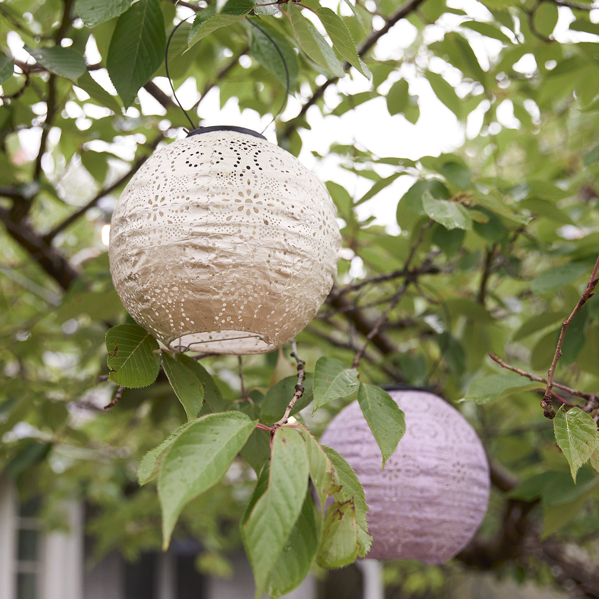 Nahaufnahme eines weißen Tyvek Solar Lampions mit floralem Muster, der an einem Baum hängt
