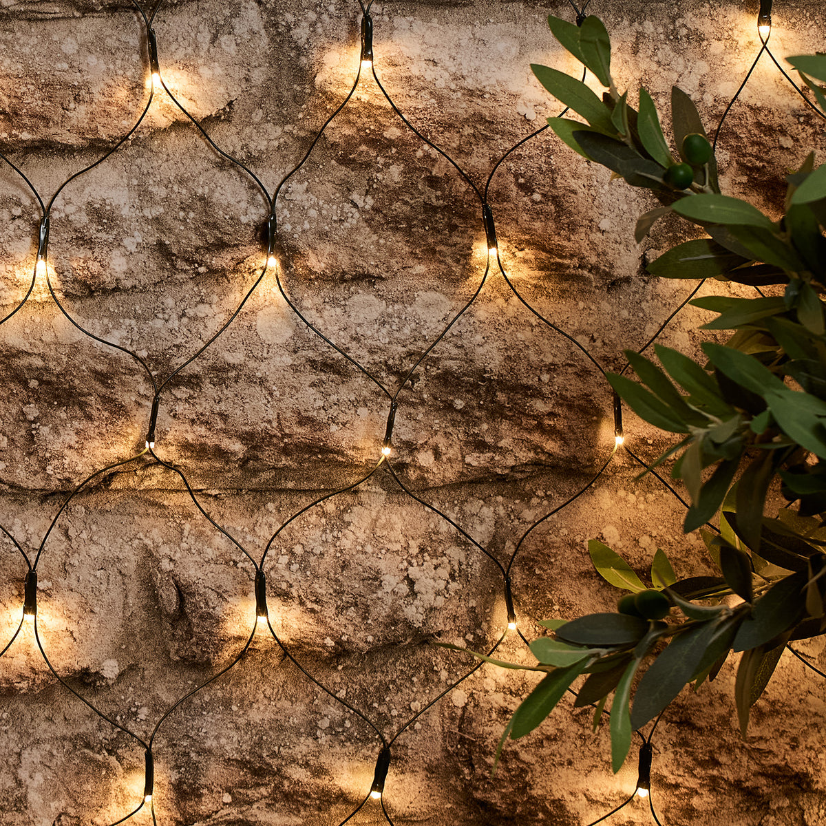 Solar Lichternetz mit warmweißen LEDs an einer Steinwand mit grünen Blättern