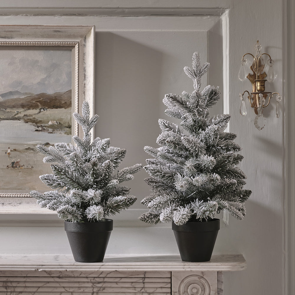 Nahaufnahme von zwei verschneiten Weihnachtsbäumen mit warmweißen LEDs in schwarzen Töpfen