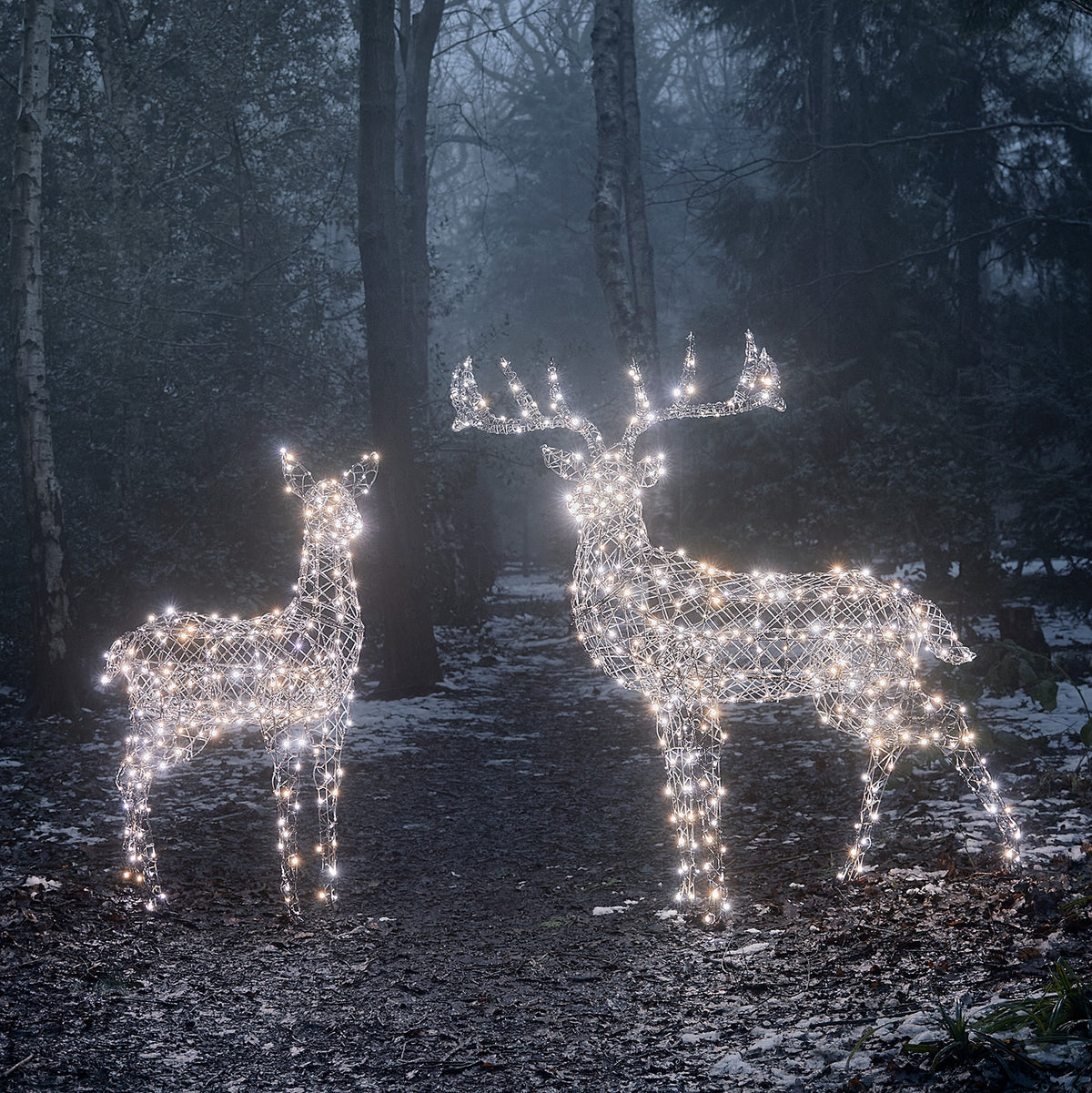 LED-Rentier Hirschkuh und LED-Rentier mit Geweih im Wald mit kaltweißem Licht und Schnee