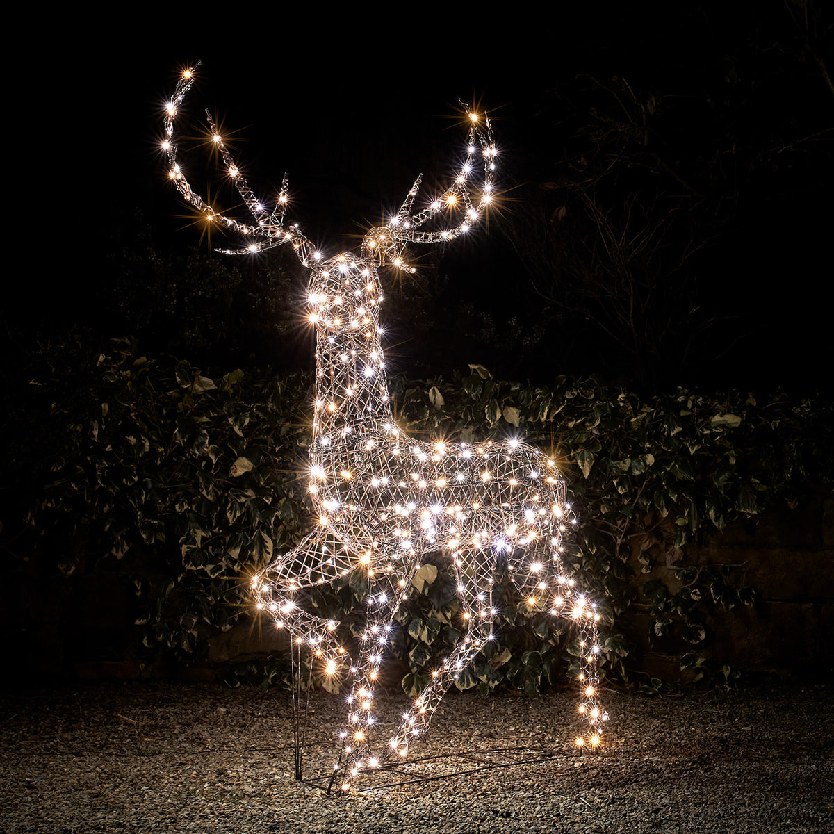 Großer Rentier-Dekohirsch mit warmweißen und weißen LEDs kombiniert bei Nacht