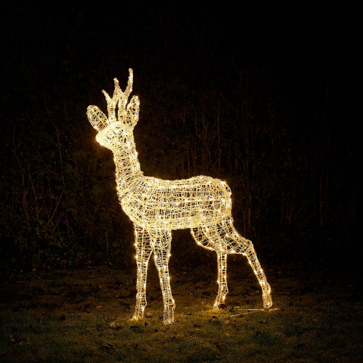 Acryl-Rentier mit warmweißen LEDs leuchtet nachts auf Wiese vor dunklem Hintergrund