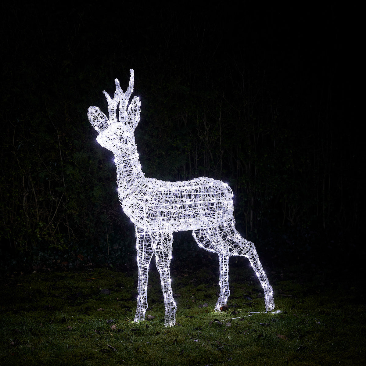 Acryl-Rentier mit kalten weißen LEDs leuchtet nachts auf Wiese vor dunklem Hintergrund