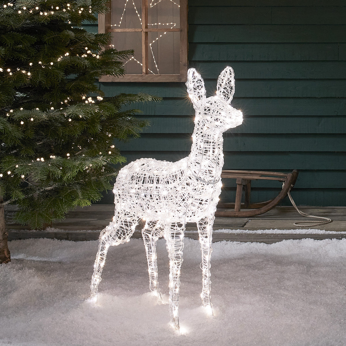 Bicolor LED Rentier Hirschkuh mit weißem Licht auf Schnee vor Hauswand und Schlitten