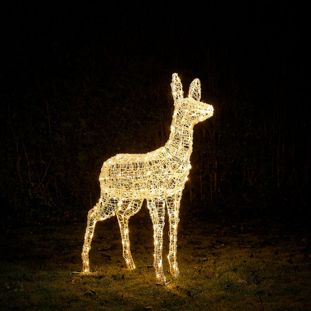 Solar-LED-Rentier Hirschkuh Swinsty leuchtet warmweiß im Garten bei Nacht