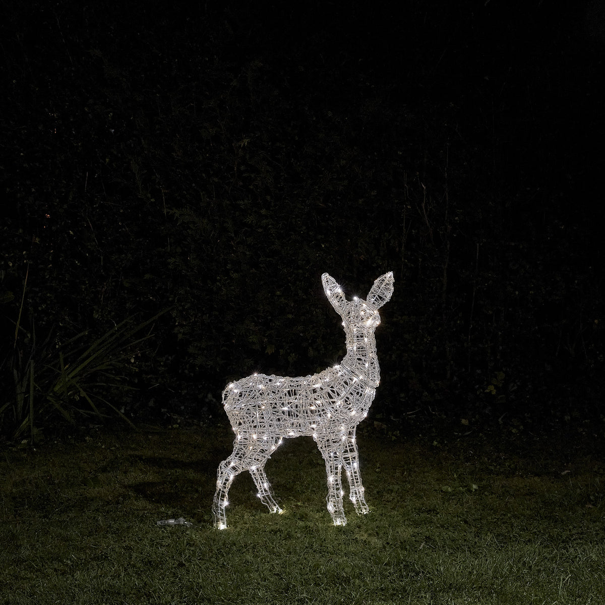 Bicolor LED Rentier Rehkitz mit gemischten weißen und warmweißen LEDs im Garten bei Nacht