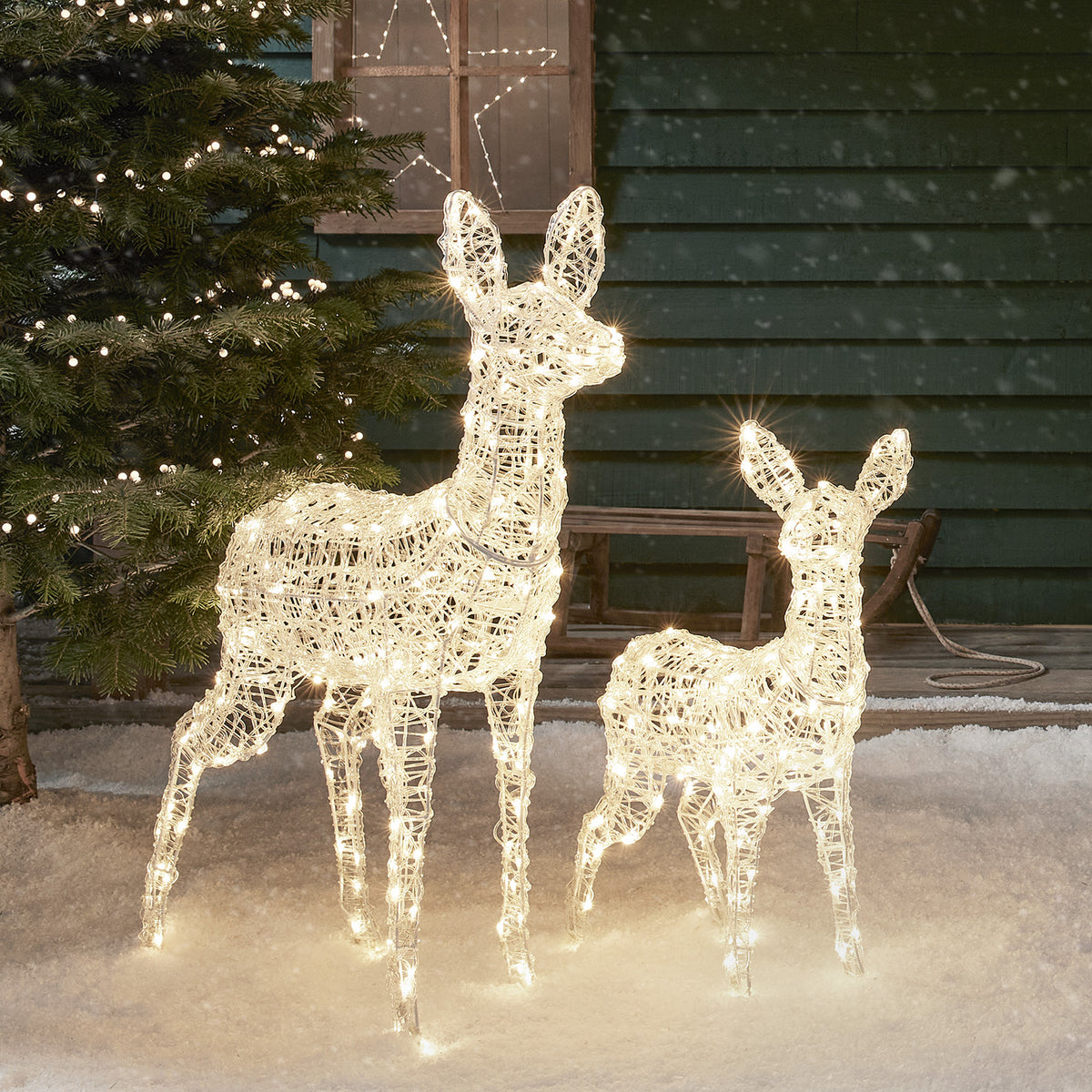 Zwei leuchtende LED-Rentiere aus Acryl in Weiß und Warmweiß vor einem Haus mit Tannenzweig