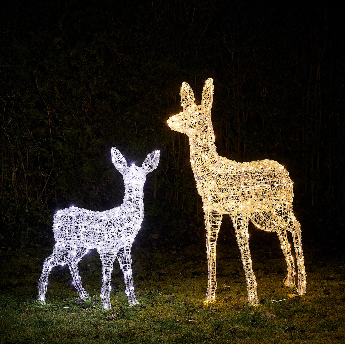 LED-Rentiere Hirschkuh und Rehkitz mit warmweißen und weißen Lichtern im Garten bei Nacht