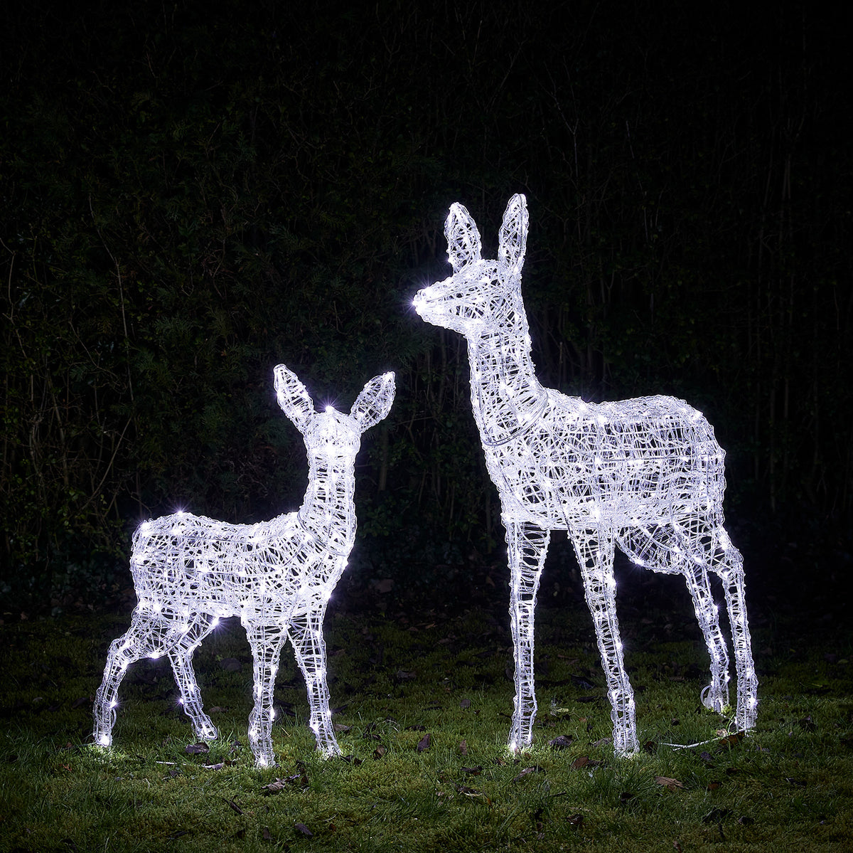 Zwei LED-Rentiere mit warmweißen und weißen Lichtern leuchten nachts auf einer Wiese