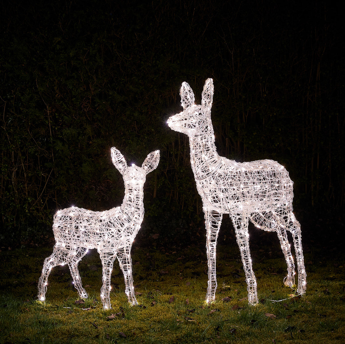 LED-Rentiere Hirschkuh und Rehkitz mit warmweißen und weißen Lichtern im Garten bei Nacht