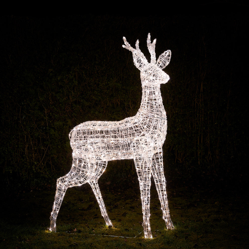 Großes Rentier aus Acrylgestell mit weiß leuchtenden LEDs im Garten bei Nacht