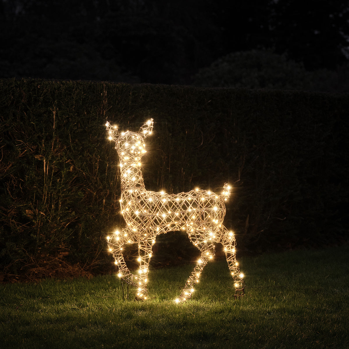 LED-Rentier mit warmweißen Lichtern im Garten bei Dunkelheit auf Gras stehend