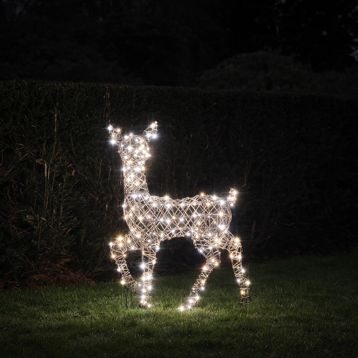 LED-Rentier mit kaltweißen und warmweißen Lichtern im Garten bei Nacht auf Gras