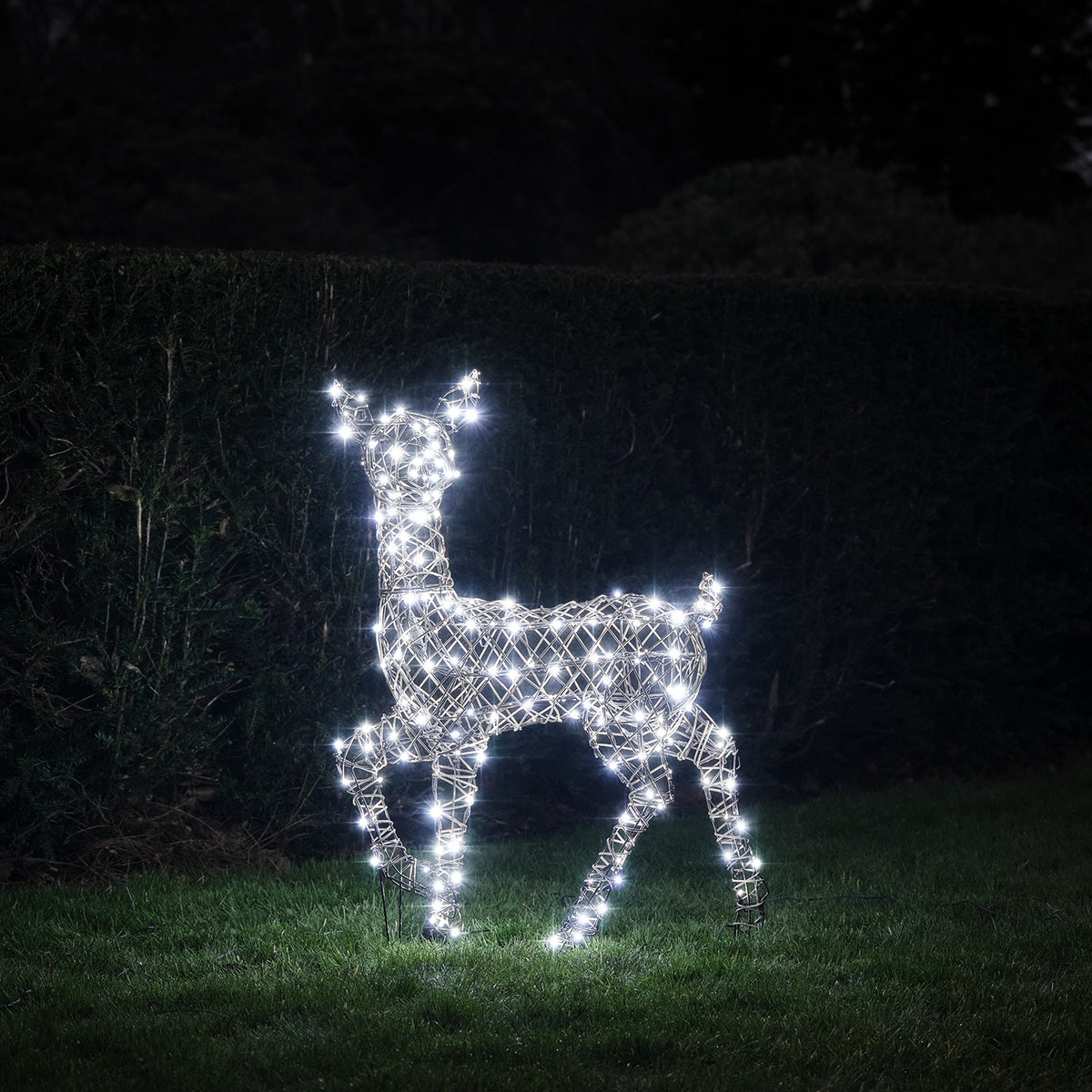 LED-Rentier mit kaltweißen Lichtern im Garten bei Nacht auf Gras vor Hecke