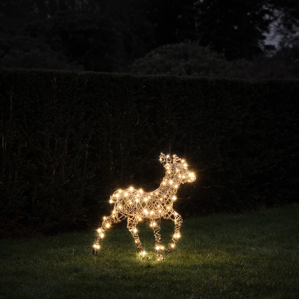 LED-Rentier Rehkitz mit warmweißen Lichtern in Garten bei Dunkelheit