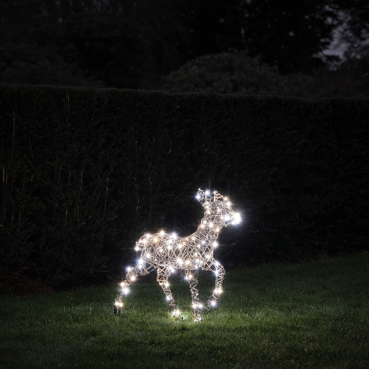LED-Rentier Rehkitz mit kaltweißen Lichtern in Garten bei Dunkelheit