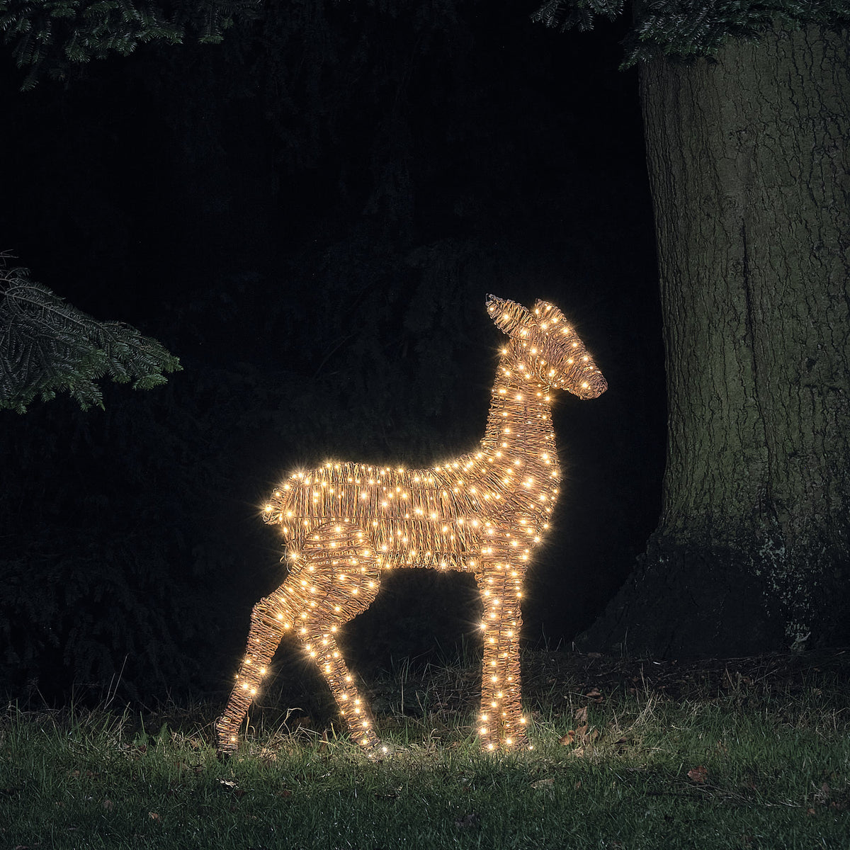 LED-Hirschkuh aus Rattan mit warmweißen Mikro-LEDs leuchtet im Garten bei Nacht