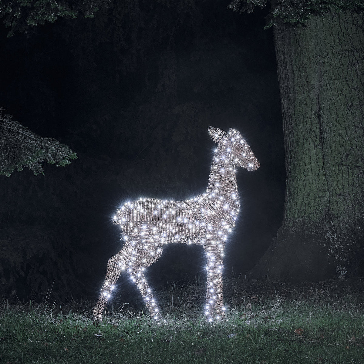 LED-Hirschkuh aus Rattan mit weißen Mikro-LEDs leuchtet im Garten bei Nacht