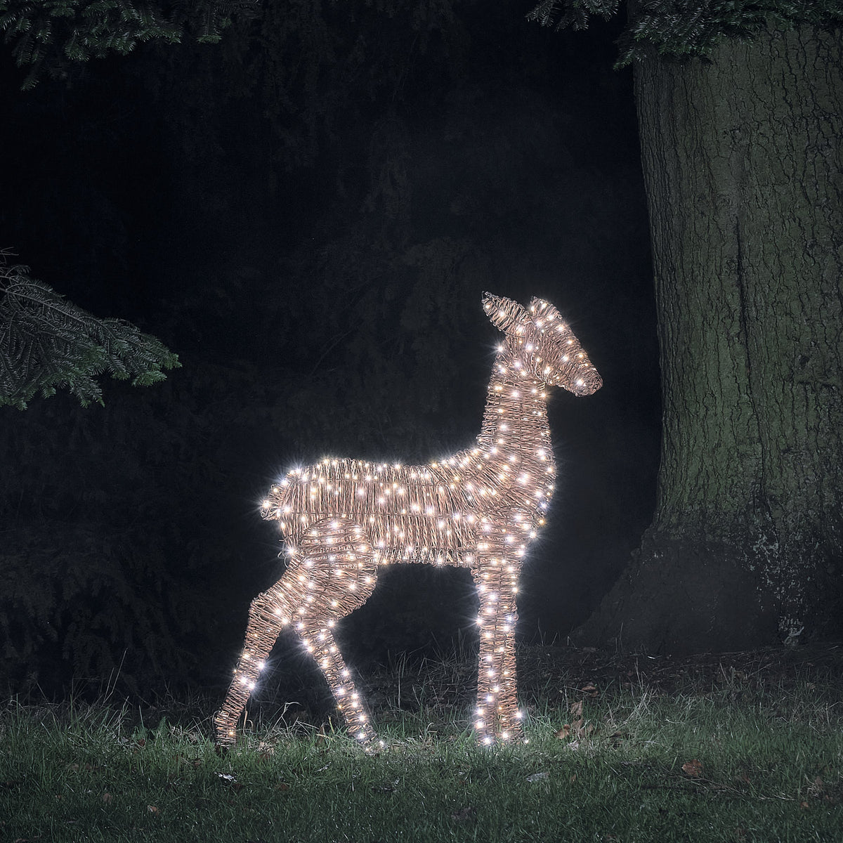 LED-Hirschkuh aus Rattan mit weißen Mikro-LEDs leuchtet im Garten bei Nacht