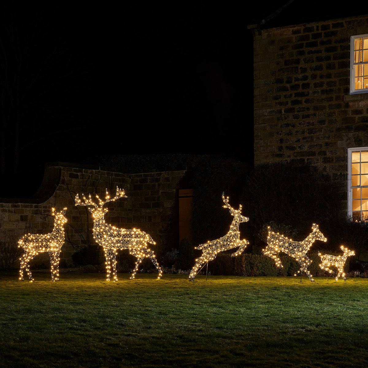 LED-Rentier Hirschkuh und LED-Rentier mit Geweih im Garten mit warmweißem Licht vor Haus