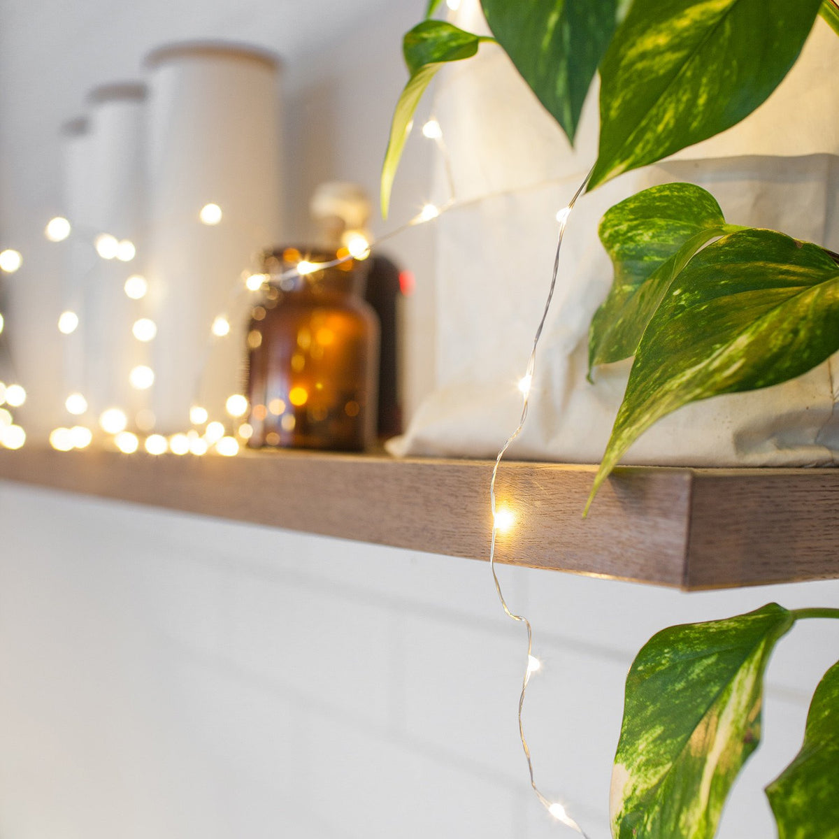 Warmweiße Micro Lichterkette dekorativ um Pflanze und Glasflasche auf Holzregal drapiert
