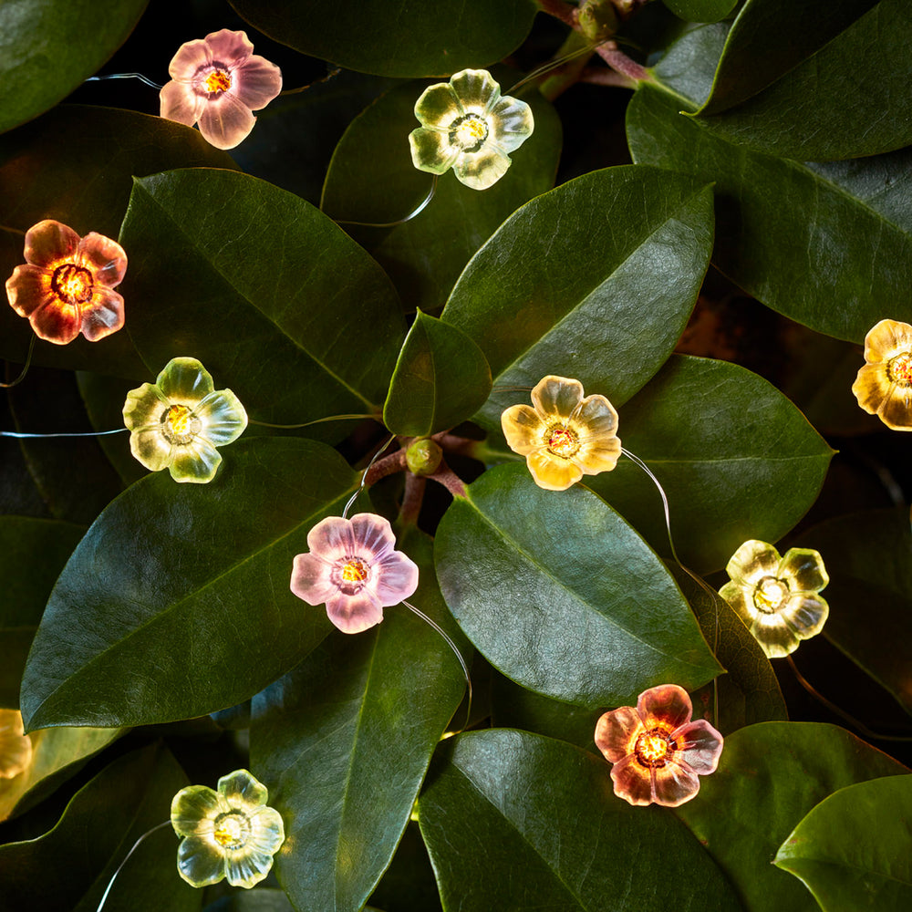 Bunte Rosen Micro Lichterkette mit warmweißen LEDs dekorativ in grünen Blättern drapiert