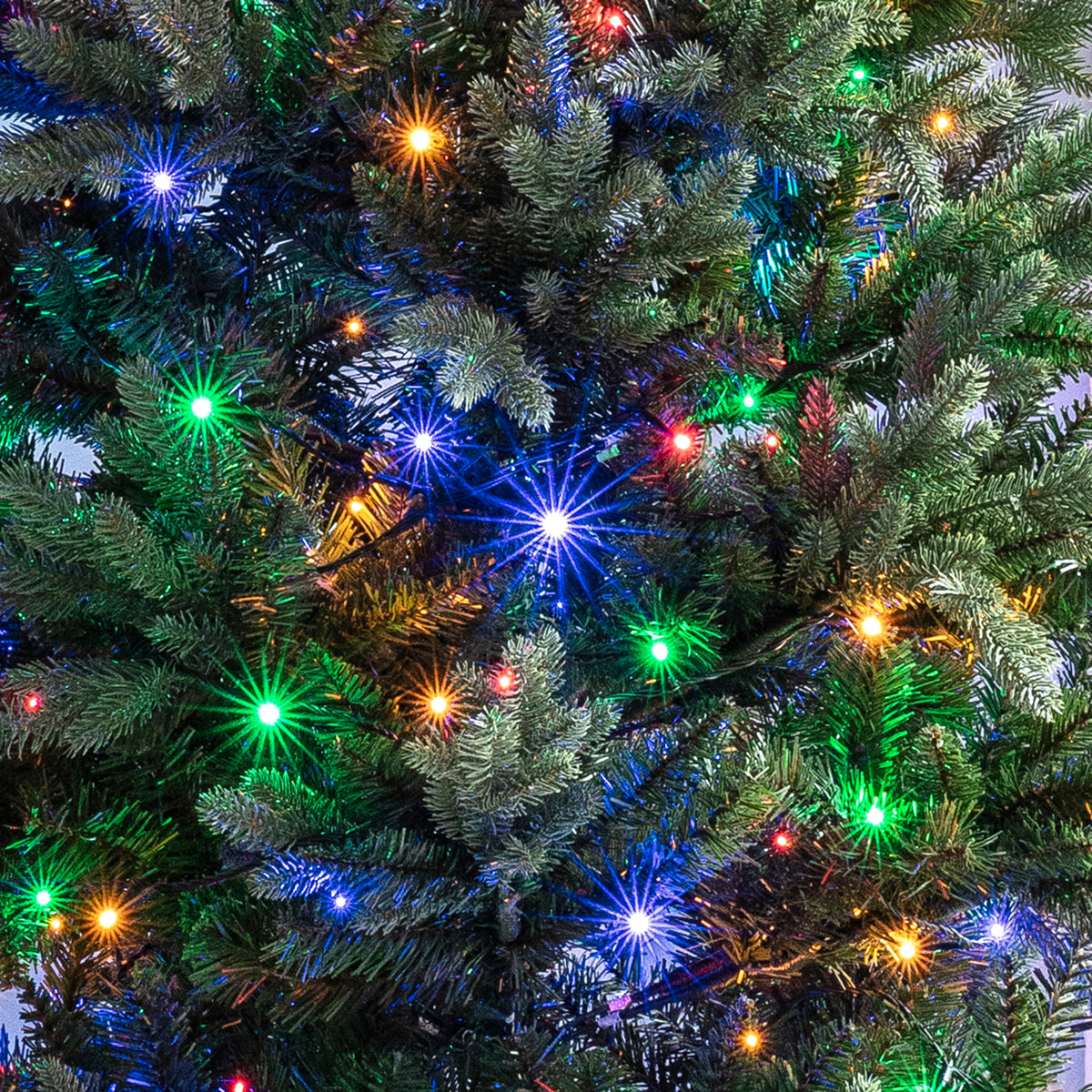 Nahaufnahme eines Weihnachtsbaums mit bunten LED-Lichtern an den Zweigen